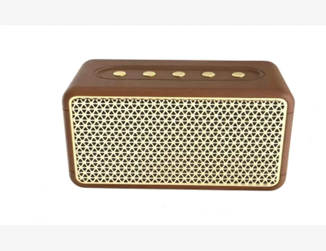 D43 20W Outdoor Portable Speaker Speaker & Audio System